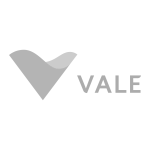 VALE S/A